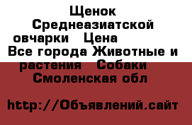 Щенок Среднеазиатской овчарки › Цена ­ 35 000 - Все города Животные и растения » Собаки   . Смоленская обл.
